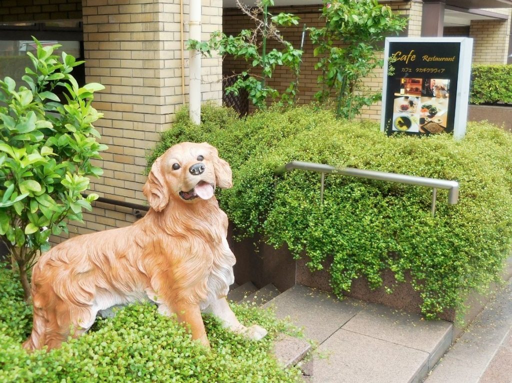 カフェタカギクラヴィアの看板大型犬の写真